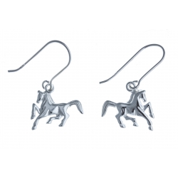 Boucles d'oreille en argent 2g cheval